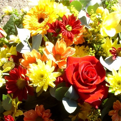Spring Has Sprung. D E 51